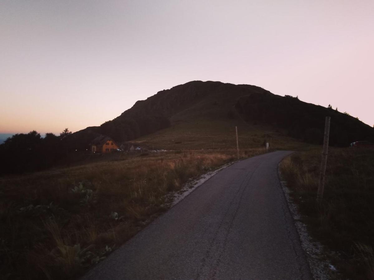 Vikendica Vila Despotovic Kopaonik Exteriör bild