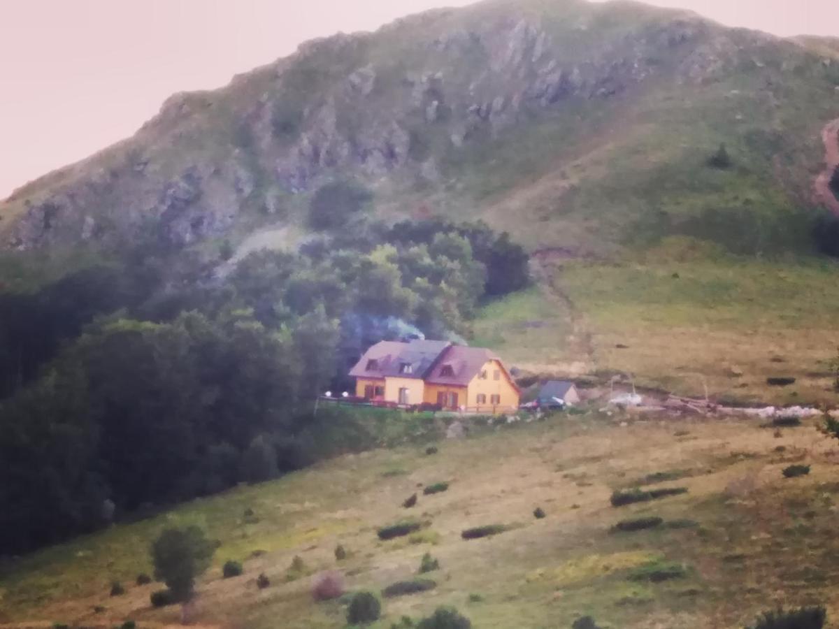 Vikendica Vila Despotovic Kopaonik Exteriör bild