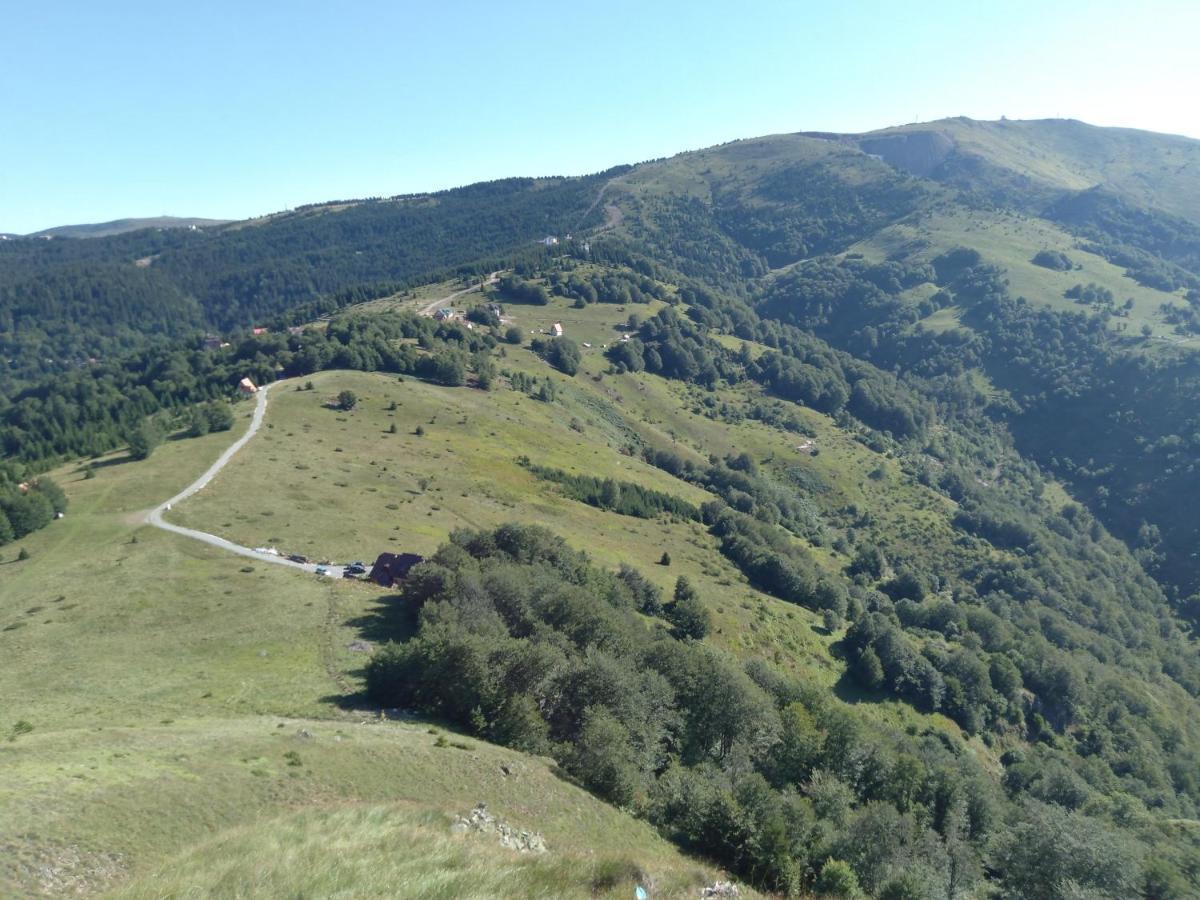 Vikendica Vila Despotovic Kopaonik Exteriör bild