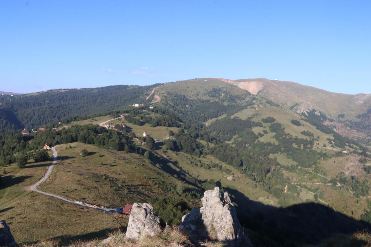Vikendica Vila Despotovic Kopaonik Exteriör bild