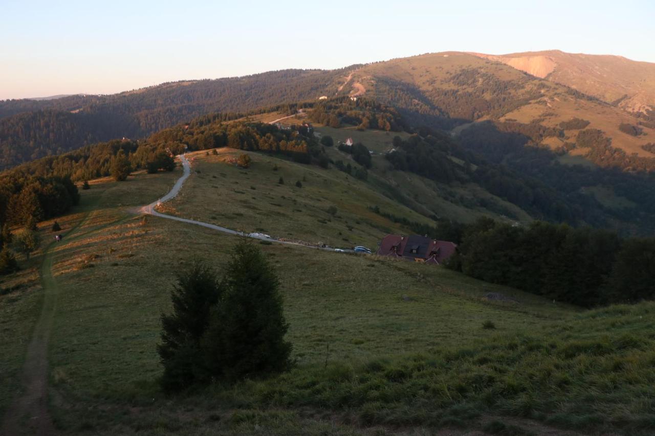 Vikendica Vila Despotovic Kopaonik Exteriör bild