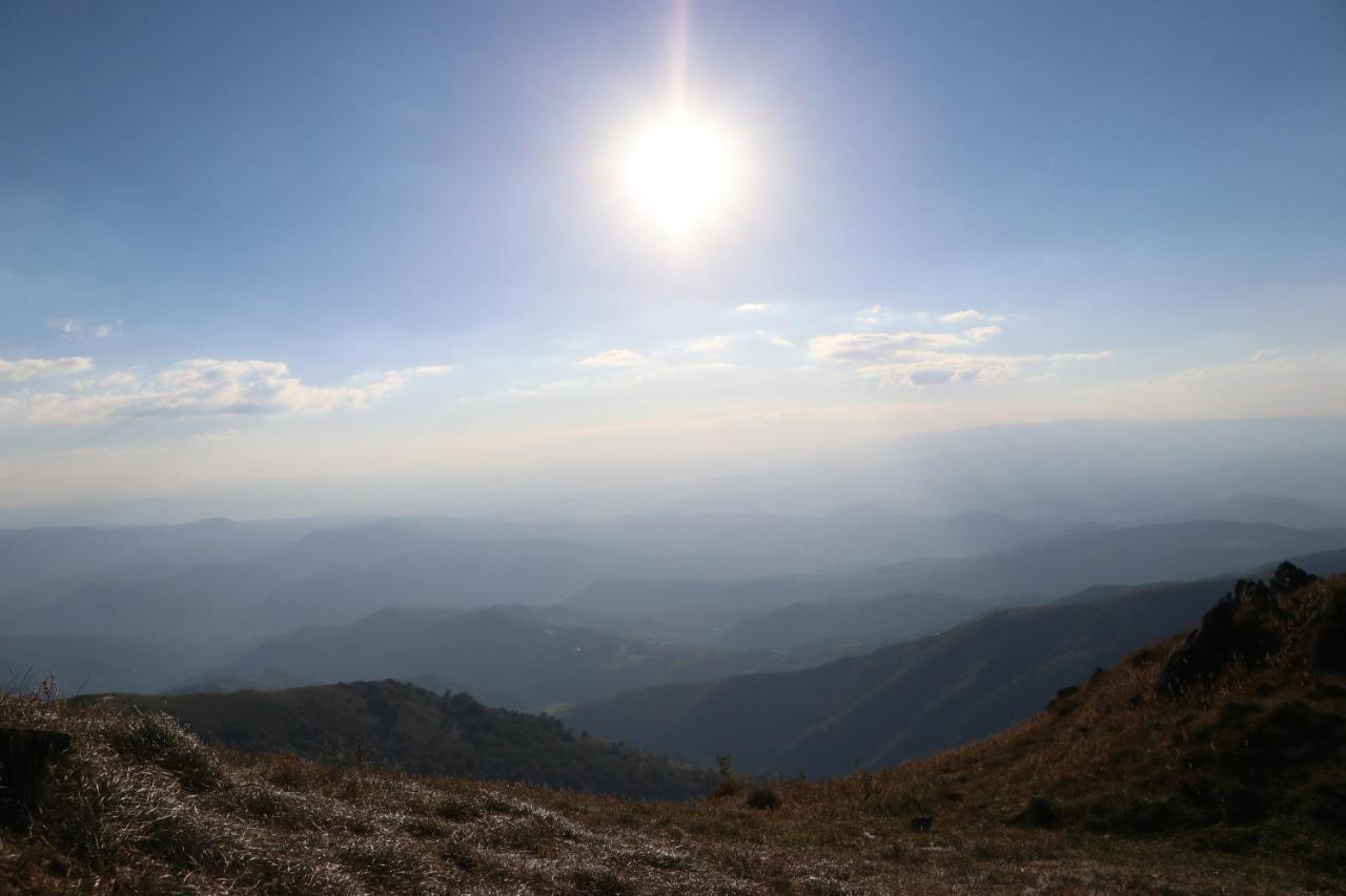 Vikendica Vila Despotovic Kopaonik Exteriör bild