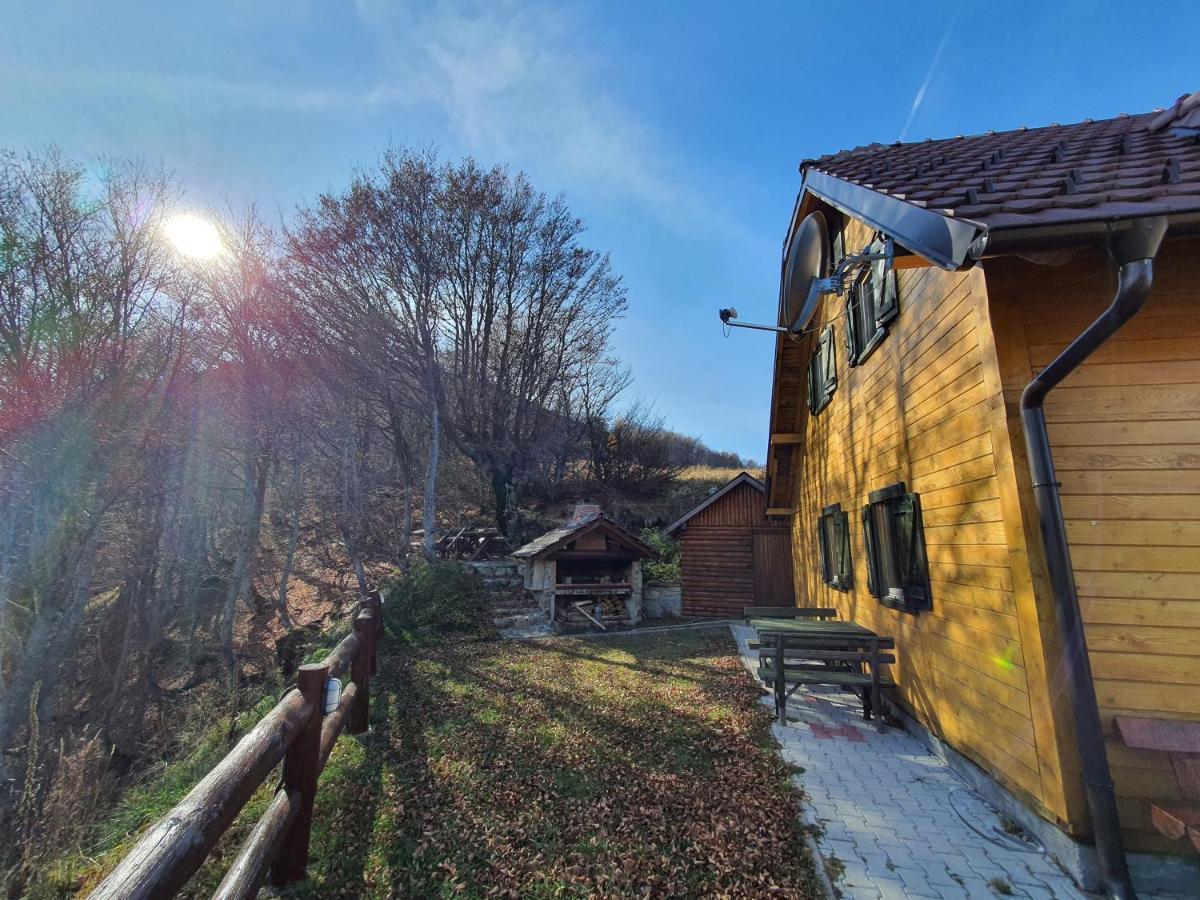 Vikendica Vila Despotovic Kopaonik Exteriör bild