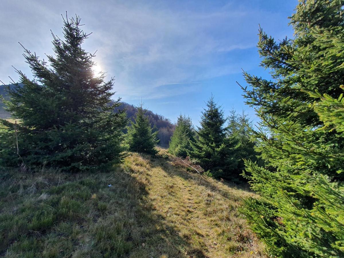 Vikendica Vila Despotovic Kopaonik Exteriör bild