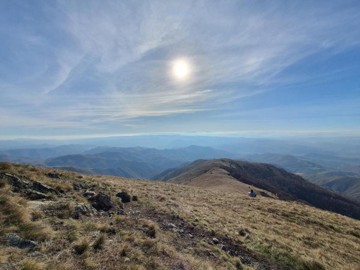 Vikendica Vila Despotovic Kopaonik Exteriör bild