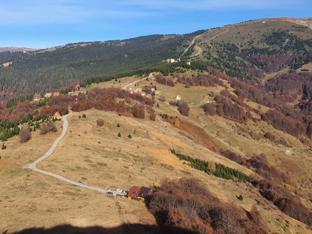 Vikendica Vila Despotovic Kopaonik Exteriör bild