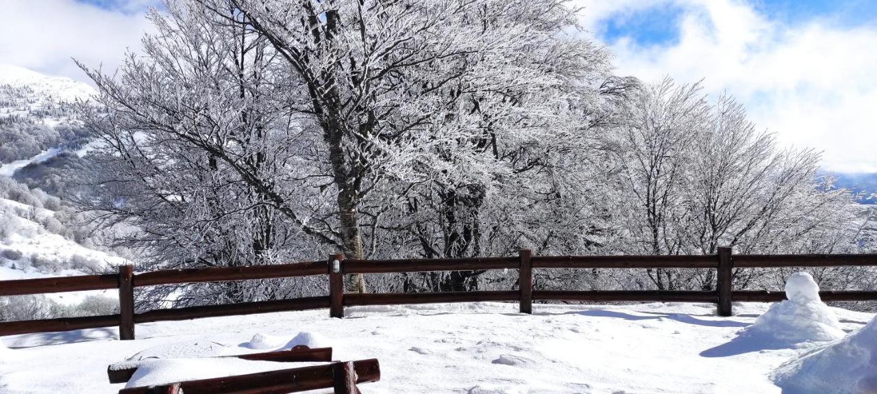Vikendica Vila Despotovic Kopaonik Exteriör bild