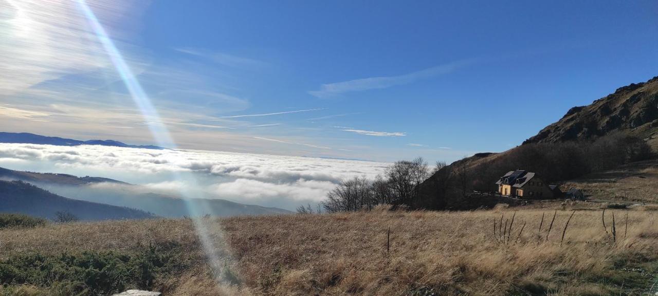 Vikendica Vila Despotovic Kopaonik Exteriör bild
