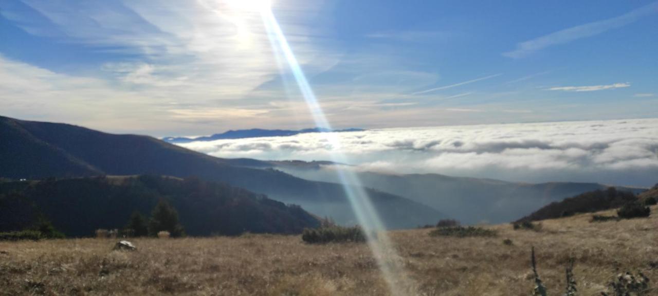 Vikendica Vila Despotovic Kopaonik Exteriör bild