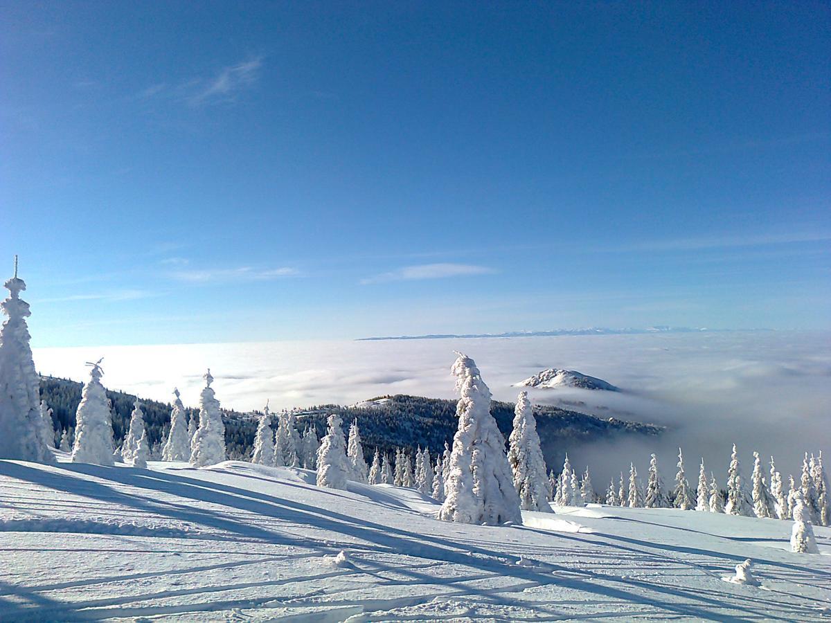 Vikendica Vila Despotovic Kopaonik Exteriör bild