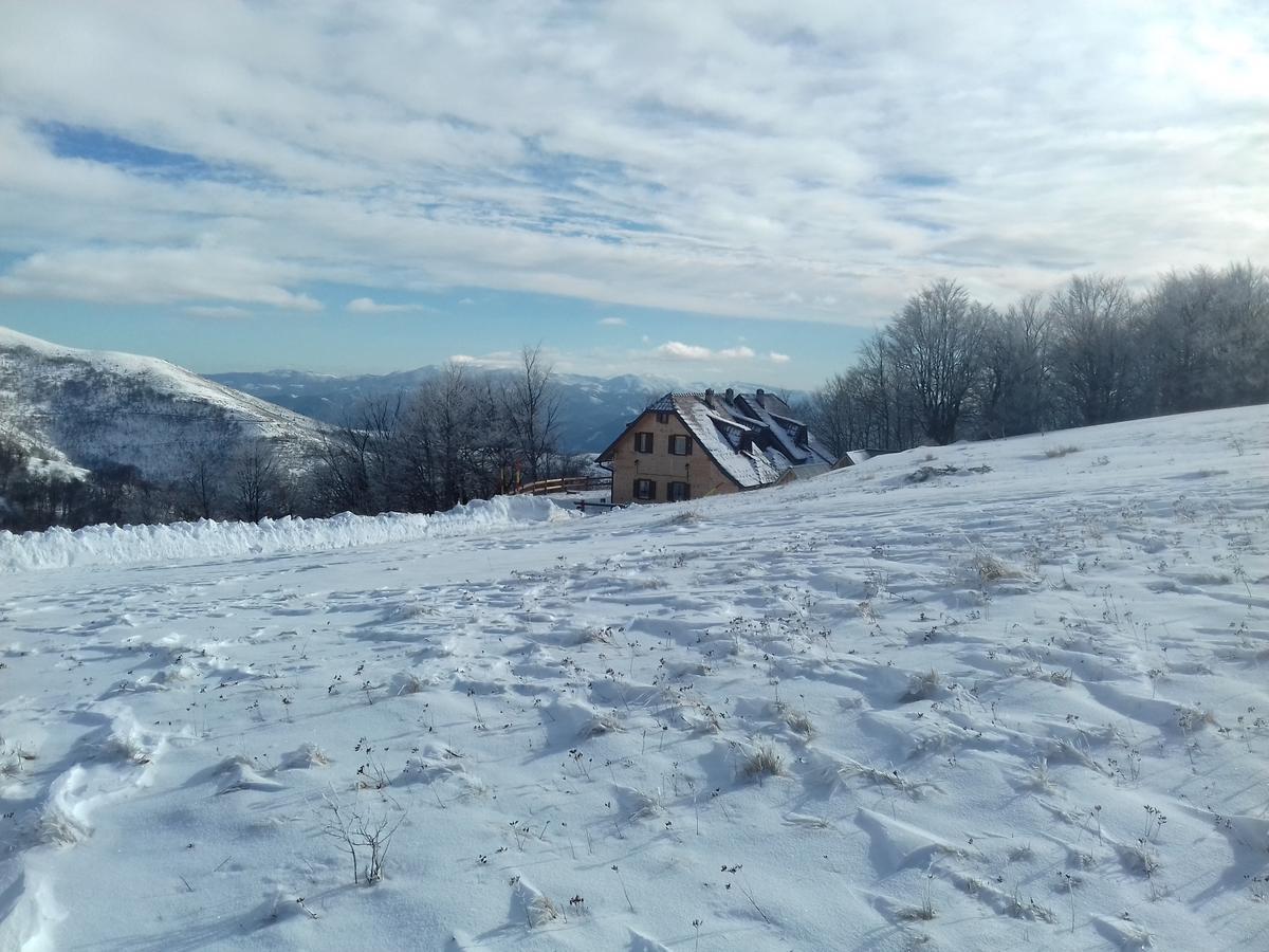 Vikendica Vila Despotovic Kopaonik Exteriör bild