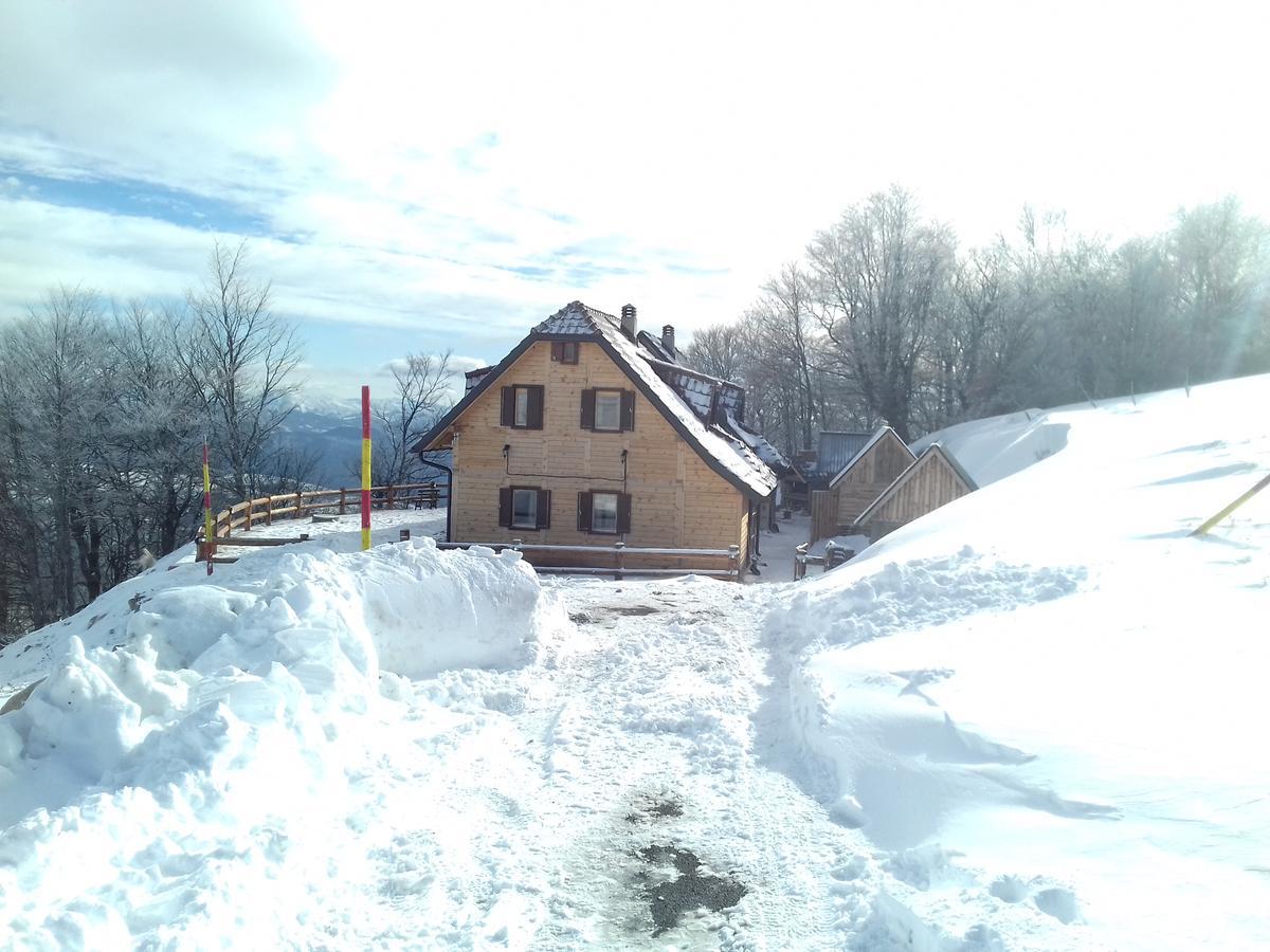 Vikendica Vila Despotovic Kopaonik Exteriör bild