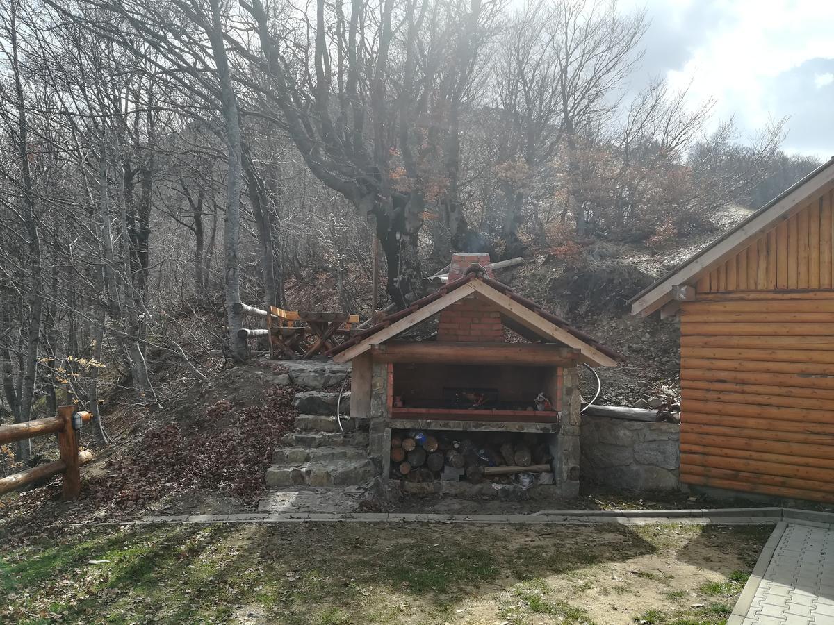 Vikendica Vila Despotovic Kopaonik Exteriör bild