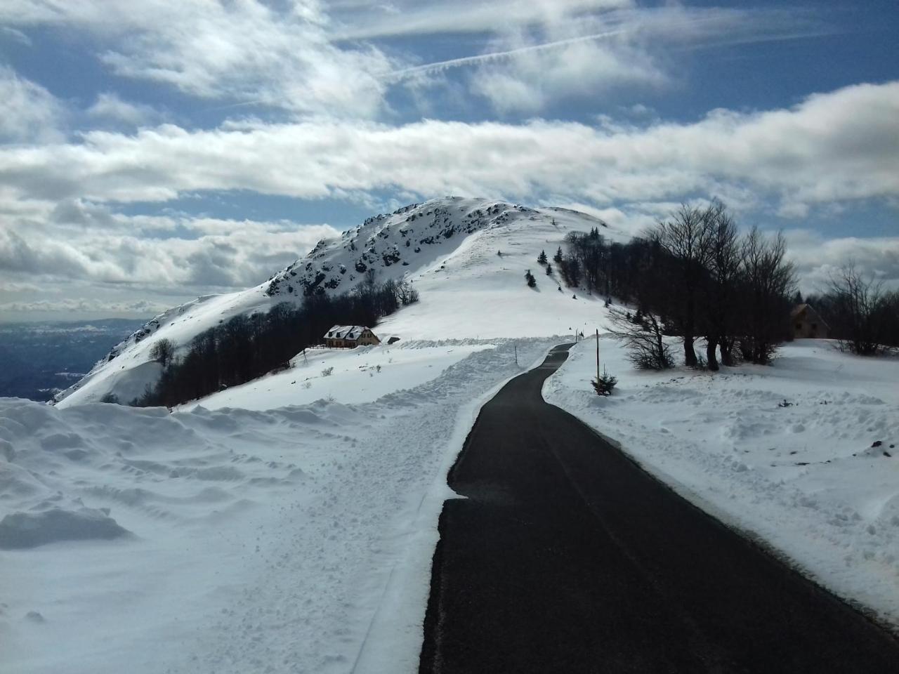 Vikendica Vila Despotovic Kopaonik Exteriör bild