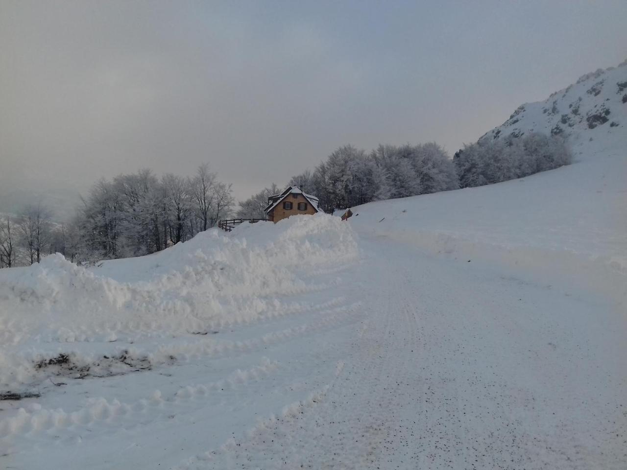 Vikendica Vila Despotovic Kopaonik Exteriör bild