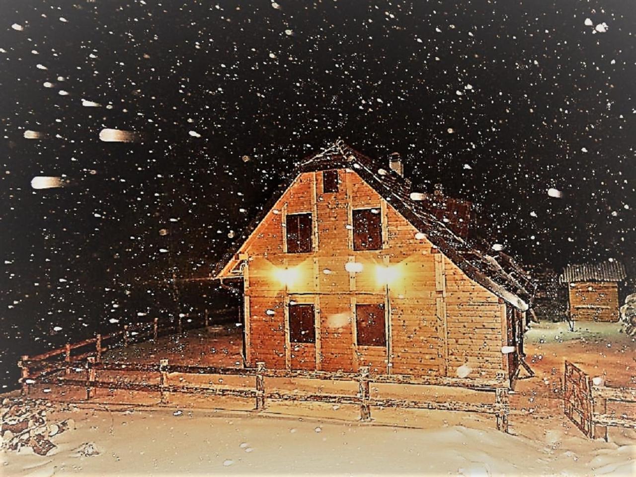 Vikendica Vila Despotovic Kopaonik Exteriör bild