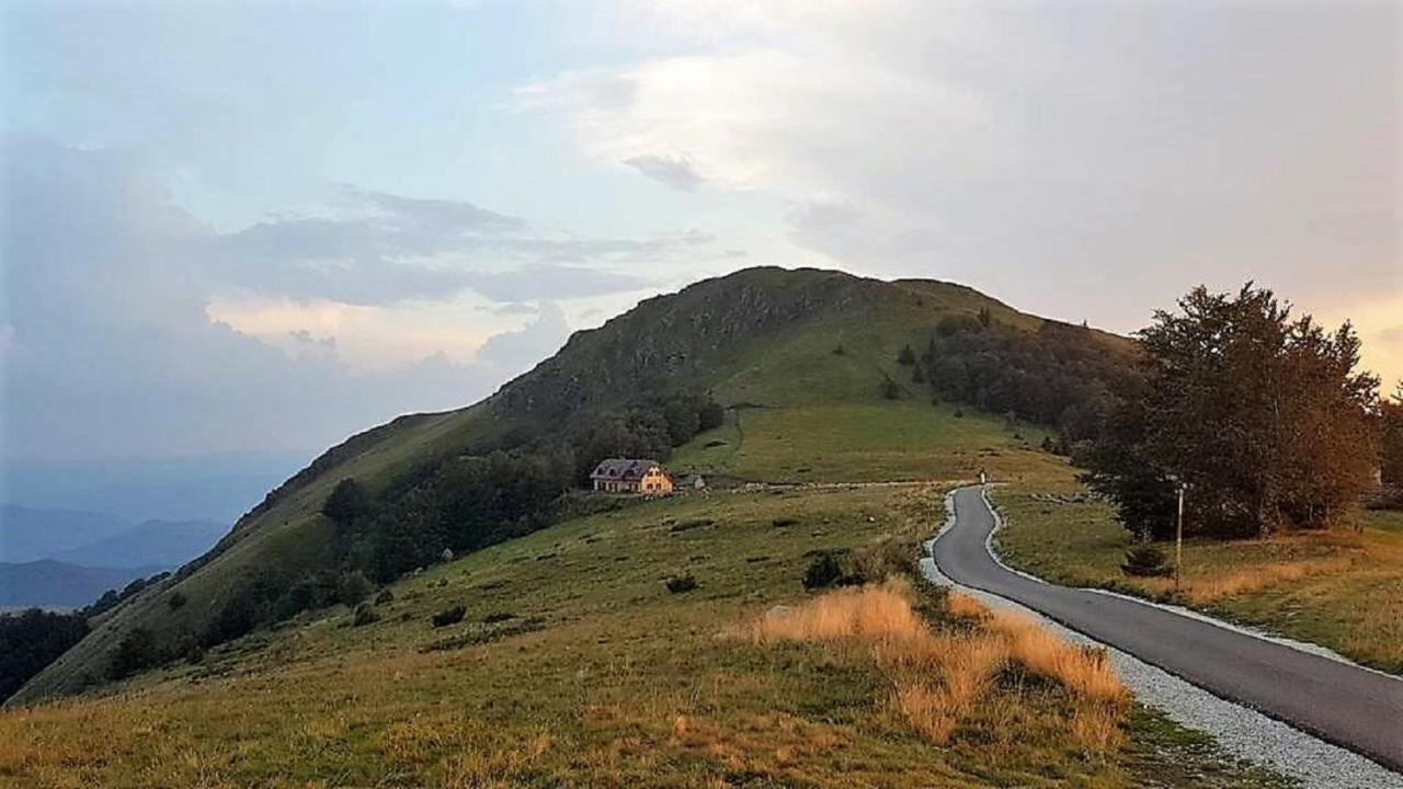 Vikendica Vila Despotovic Kopaonik Exteriör bild