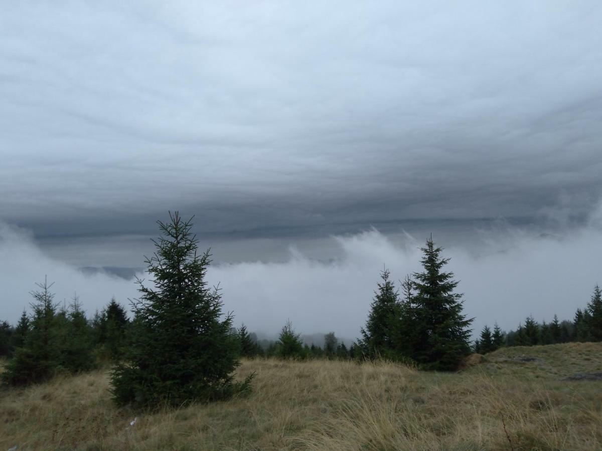 Vikendica Vila Despotovic Kopaonik Exteriör bild